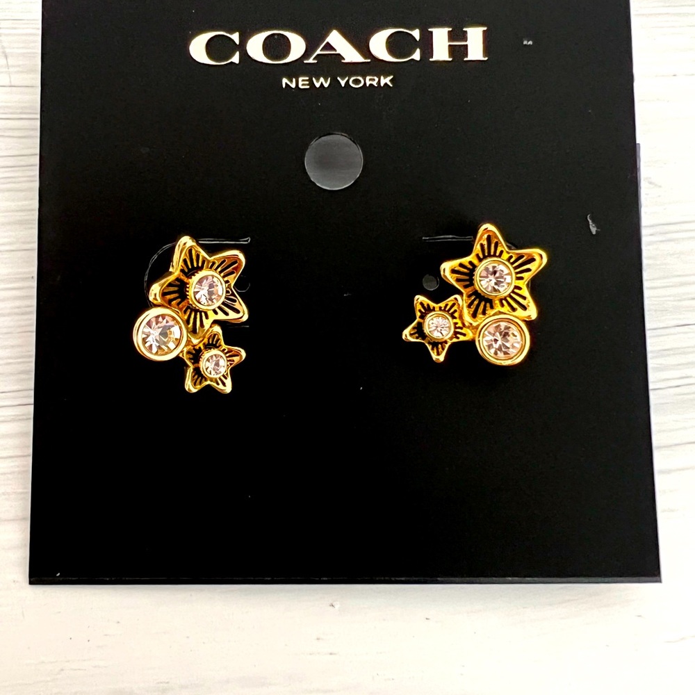 NWT Coach Wildflower Cluster Stud Earrings MSRP $88
